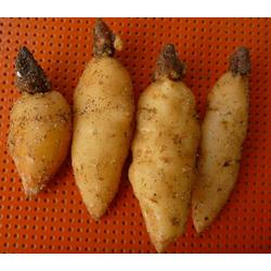 家居配套批發(fā) 家居配套供應(yīng) 家居配套廠(chǎng)家 